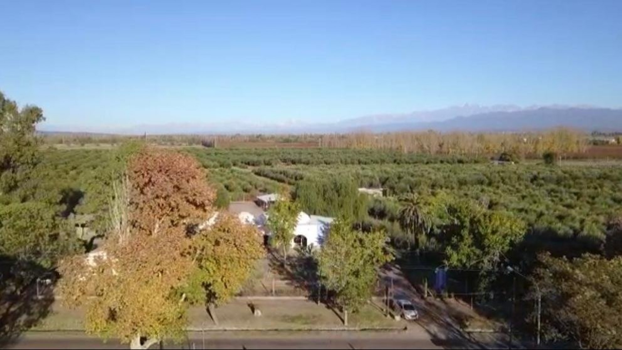 Comenzó en Maipú el Censo del Arbolado en el Área Metropolitana